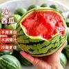 正鲜季 麒麟西瓜 特小凤 4-5斤