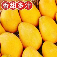 晓乡 海南小台农芒果 5.5斤