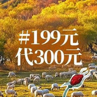 北门涮肉 300元代金券|限2张