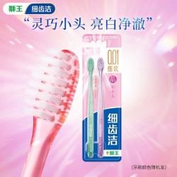 狮王 细齿洁经典系列 晶彩软毛小头牙刷 2支/装