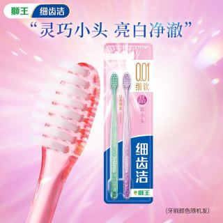 狮王 细齿洁经典系列 晶彩软毛小头牙刷 2支/装
