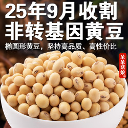 呆呆菇娘 2025年9月收老品种大豆土黄豆打豆浆专用N