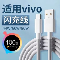 出极 适用vivoY/X/S系列闪充加长数据线快充vooc原配超级快充通用车载