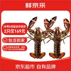 鲜京采 鲜活波士顿龙虾 净重/只*2只装 400500g