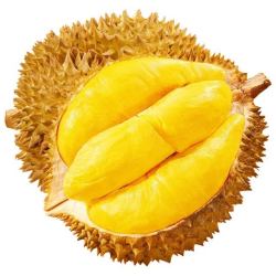 鲁禧海岸 泰国进口新鲜金枕头榴莲 现货直发 5-7斤