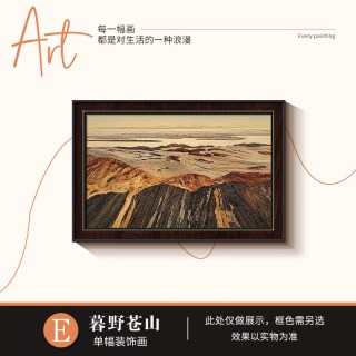 艾风格 美式中古风装饰画 E款 60*80cm 黑色边框