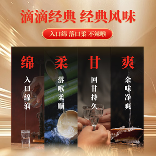 西凤酒 52度窖龄 凤香型白酒 369ml
