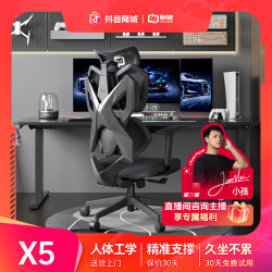 骁骑 X5 人体工学电竞电脑椅 黑色透气网款