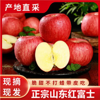 薏品甄鲜 正宗山东红富士苹果新鲜水果 净重4.5斤【果径75-80mm】