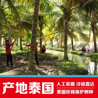  Goodfarmer/佳农 易开 椰子