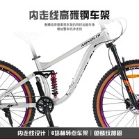 艾路德 油刹 山地自行车