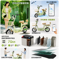 五星钻豹 长续航 电动自行车 燕麦棕