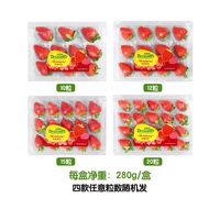 88VIP：Driscoll's 草莓  280g