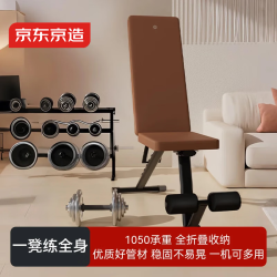 京东京造 家用多功能健身椅 JZXL2405