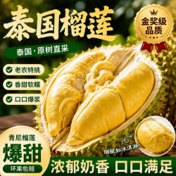 梦宛怡 泰国榴莲 2-3斤 进口新鲜水果