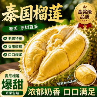 梦宛怡 泰国榴莲 2-3斤 进口新鲜水果