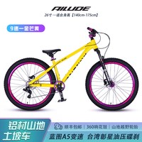 艾路德 TP100 山地车 26寸 单速 油碟刹