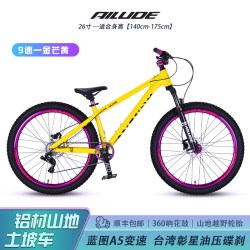 艾路德 TP100 山地车 26寸 单速 油碟刹