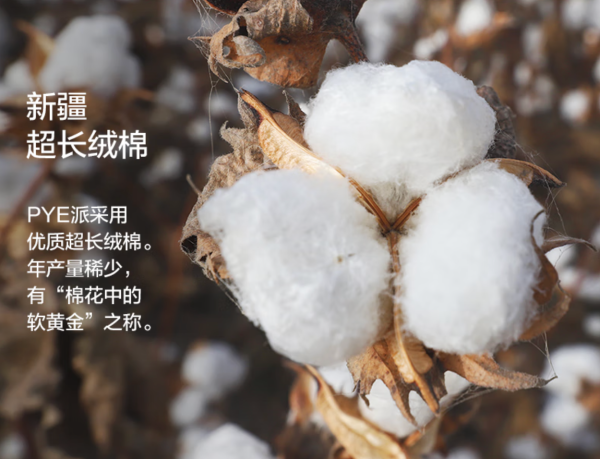 评论有奖:男人才要懂“穿衣回报率”,花300块穿5次和花1200块穿200次,谁更便宜?