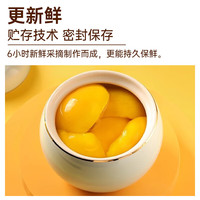 科技 黄桃罐头312g*6罐