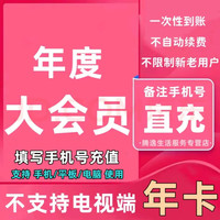 bilibili 哔哩哔哩 会员12个月 bilibili会员B站大VIP会员1年卡