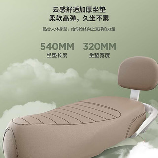 爱玛 A3 72V20Ah铅酸电池 百利米 电动摩托车