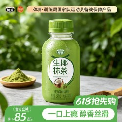 椰谷 生椰抹茶植物蛋白饮料 240ml*10瓶