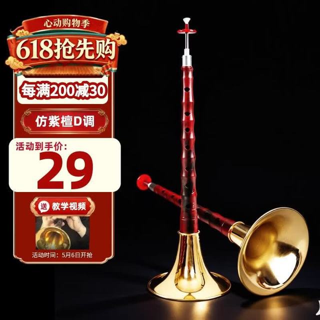 Range D调唢呐 仿紫檀金碗 初学练习演奏高端成人唢呐乐器（唢呐碗口*1 唢呐杆子*1 唢呐芯*1 气盘*1 唢呐哨片盒*1 塑料哨片*2 唢呐教程*1 唢呐杆子收纳袋*1）