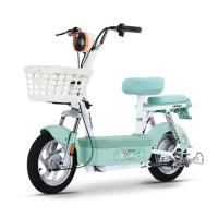 移动端、京东百亿补贴：飞鸽 E75Plus 电动自行车 2026 80KM长续航 48V21Ah铅酸电池