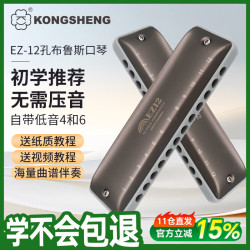 孔声 EZ-12 12孔C调全音阶布鲁斯口琴（银色）