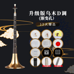 新艺 xinyi 新艺 乌木D调黄碗唢呐 乐器全套初学者入门