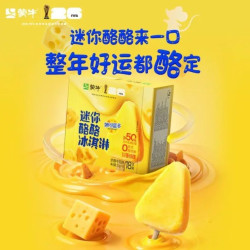 蒙牛 迷你酪酪奶酪牛乳味冰淇淋礼盒20g×40支 生牛乳含量50% 雪糕奶糕冷饮