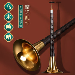 正音堂 唢呐乐器 成人红白喜事专业演奏乌木唢呐 专业演奏D