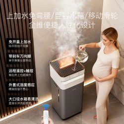 TINME 德国TINME加湿器家用客厅空调房超声波空气喷雾器超大容量雾化机