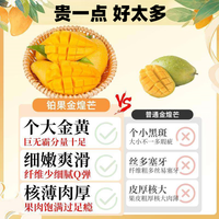 田良记 金煌芒 净重8斤 单果400g+ 新鲜芒果