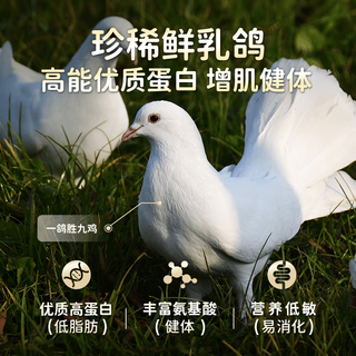 江小傲 羊奶乳鸽无谷冻干全价猫粮 9kg