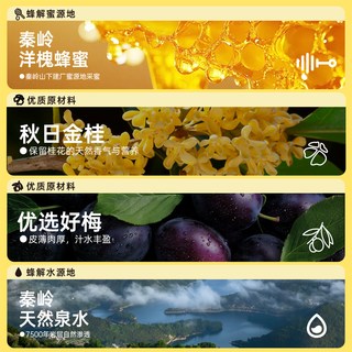 蜂解 金桂乌梅蜂蜜水 360g*6瓶 果汁饮料