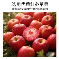 汇多滋 100%红心苹果复合果汁 500ml*15瓶