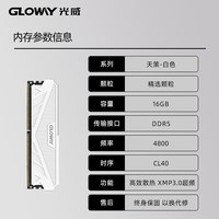 移动端：光威 龙武系列 DDR5 6400MHz 台式机内存 马甲条 CL32 海力士M-die颗粒