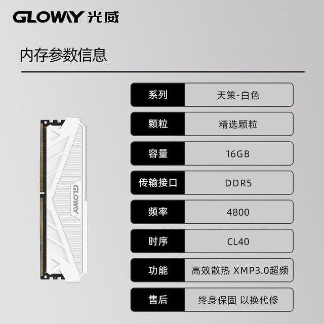 移动端：光威 龙武系列 DDR5 6400MHz 台式机内存 马甲条 CL32 海力士M-die颗粒