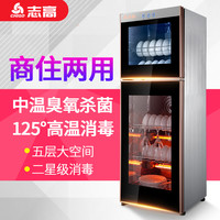 志高 家商两用消毒柜高温臭氧中温碗筷上下分控二星立式饭店厨房