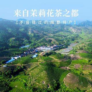 孝文家茶 浓香型茉莉花茶