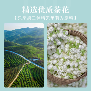 孝文家茶 浓香型茉莉花茶