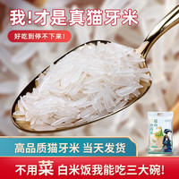 瑶珍 瑶山丝苗米晚稻长粒大米真空装