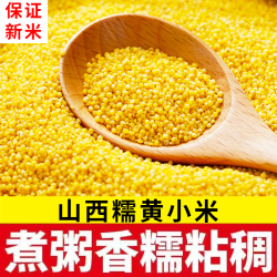 山西黄小米早餐农家糯黄小米粥宝宝辅食杂粮