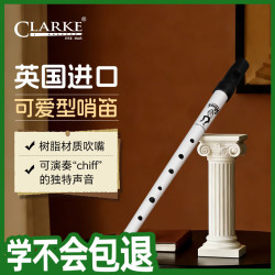 CLARKE 克拉克 爱尔兰哨笛 专业锡笛 六孔竖笛 白色 D调（哨笛X1、指法表X1）