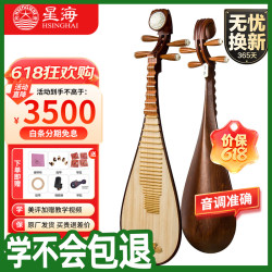 星海 8973QJ 琵琶 儿童成人初学家用练习专业考级演奏（琵琶*1）