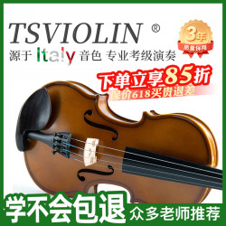 台氏 S168 小提琴 成人考级初学意大利工艺实木提琴专业演奏 4/4