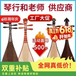 民音 专业琵琶 红木鸡翅木花梨木 初学入门教学成人儿童硬木