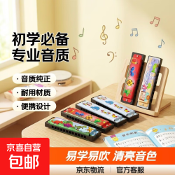 口琴 初学入门款 16孔双排